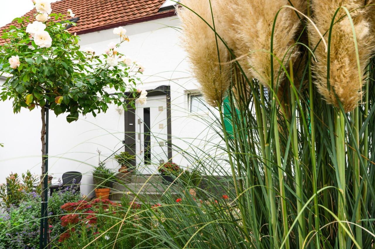 Apartamento Annas Oase Meckenheim  Exterior foto
